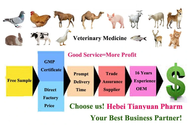 Animal Drug Ivermectin Injection 1% Anti-Allergic Agents Anti-Inflammatory Veterinary Medicine for Cattle Calves Sheep Goats Horses Dogs Cats Pets Use